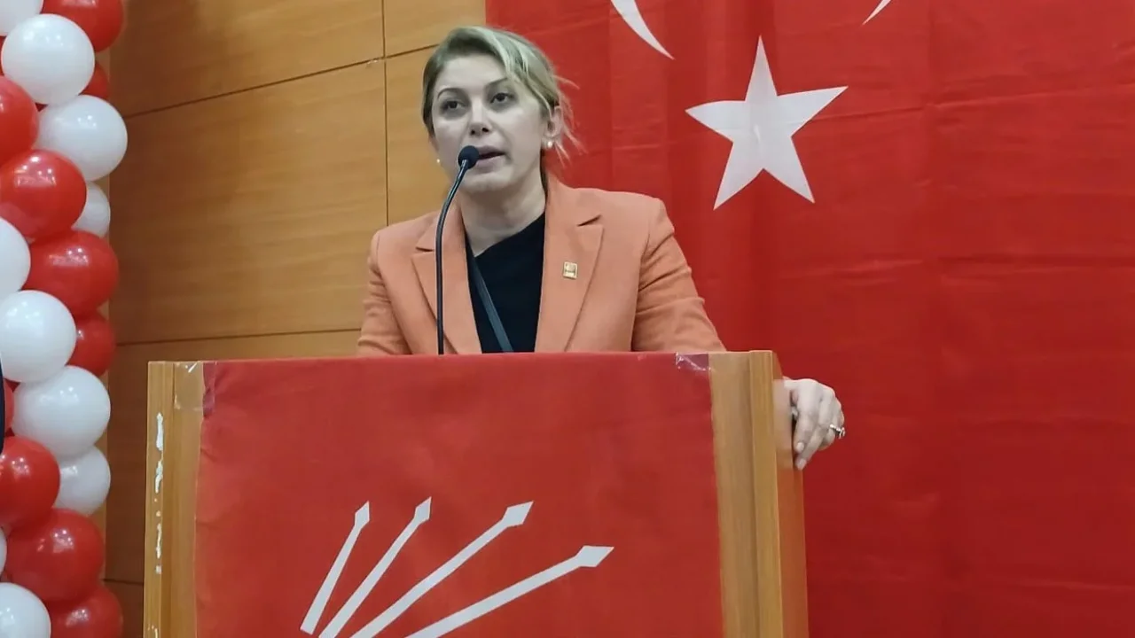 Asu Kaya, Şiddet Olayına Sert Kınama