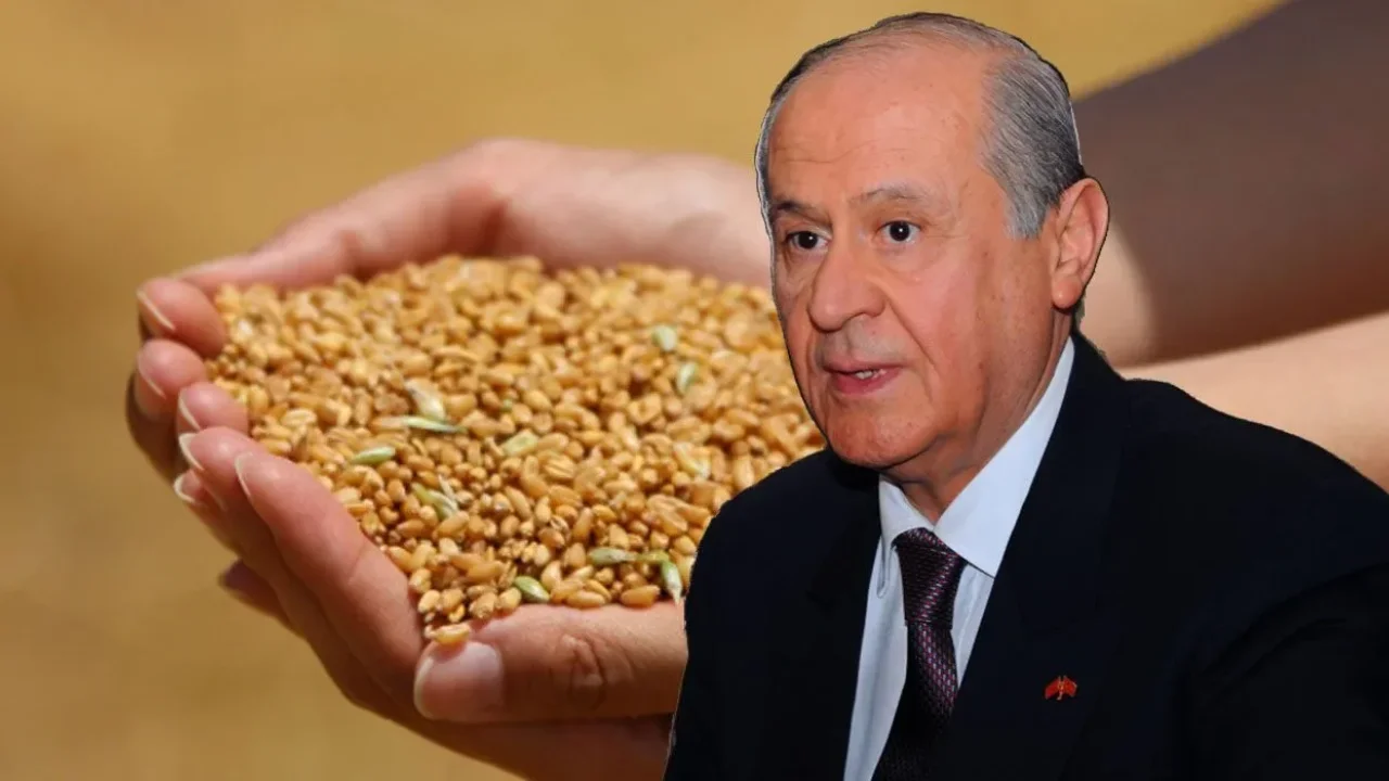 Bahçeli’den Askıda 9 Gülek Buğday Projesi