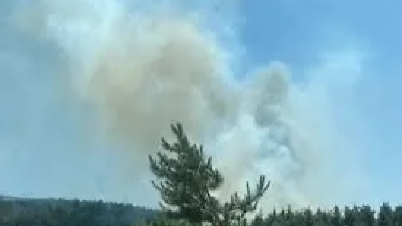 Balıkesir ve Bolu’da Orman Yangınları: Ekipler Seferber