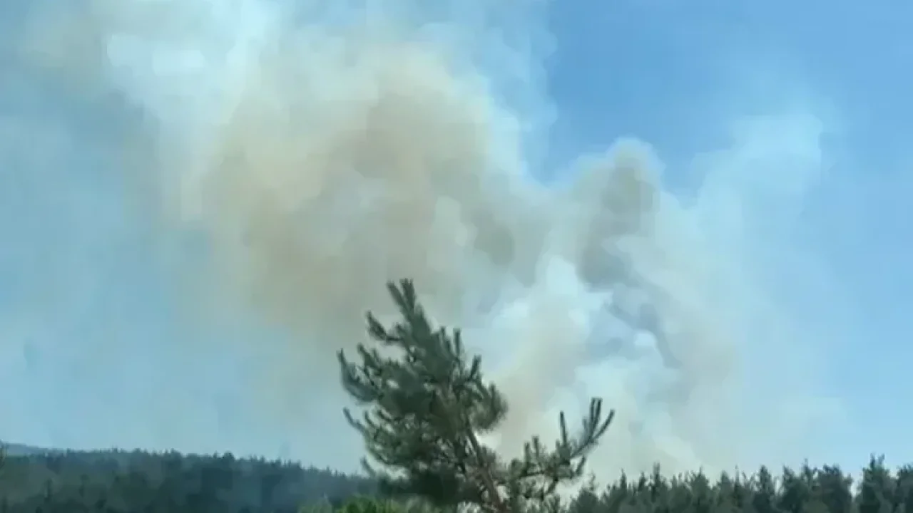Bursa orman yangınları üç farklı noktada etkiliyor