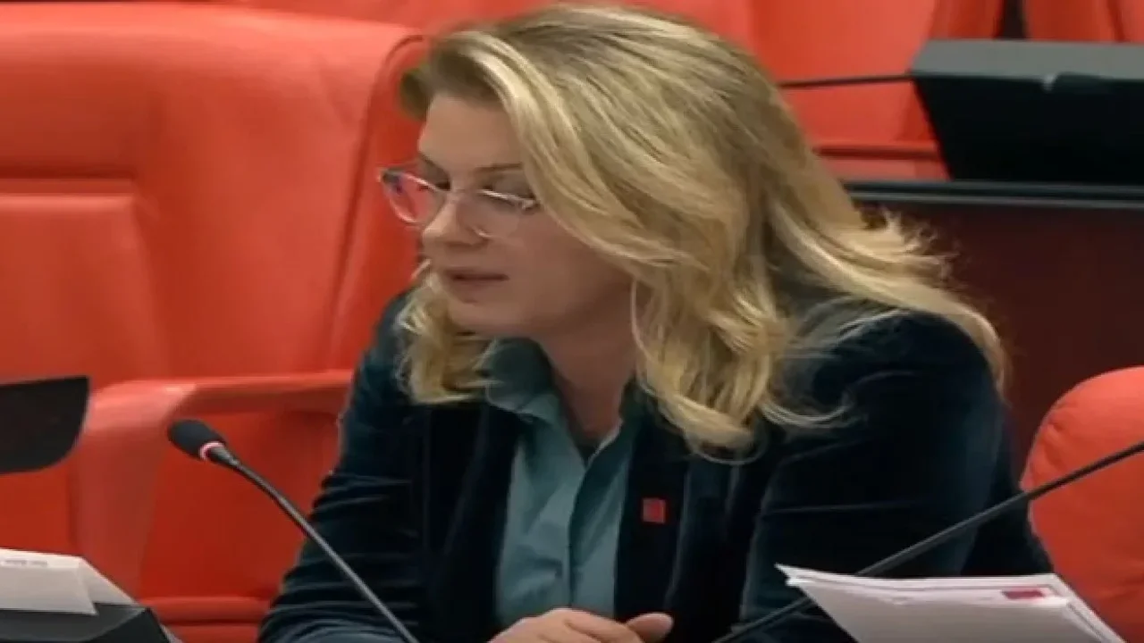 CHP’li Asu Kaya: Emekliler Yük Değil Onurdur