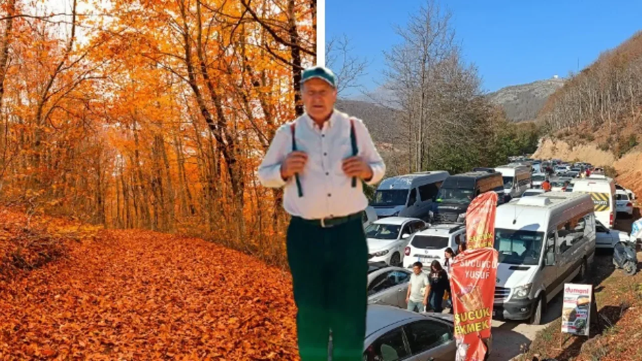 Düziçi Dumanlı Yaylası kayın ormanları özel işletmeye kiralandı