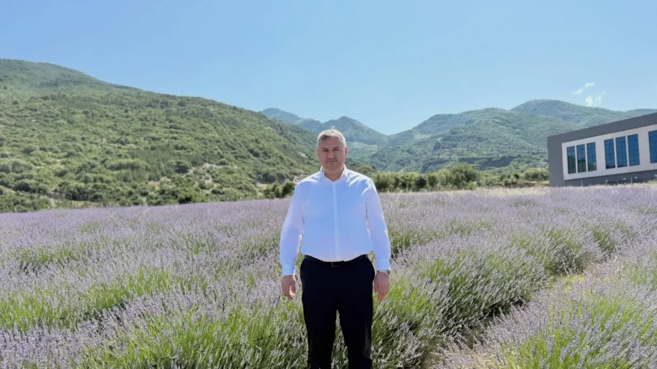Düziçi Lavanta Bahçesi Kapılarını Ziyaretçilere Açıyor