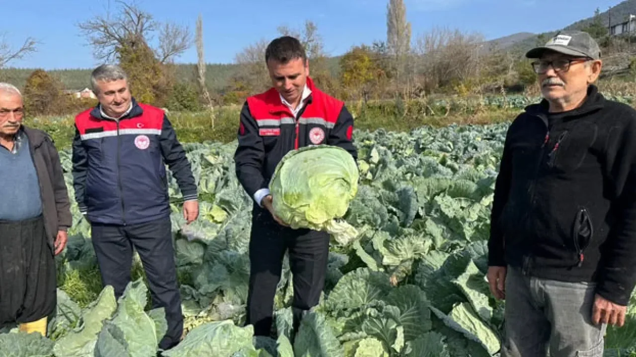 Hasanbeyli’de Ata Tohumu Lahana Hasadı Yapıldı