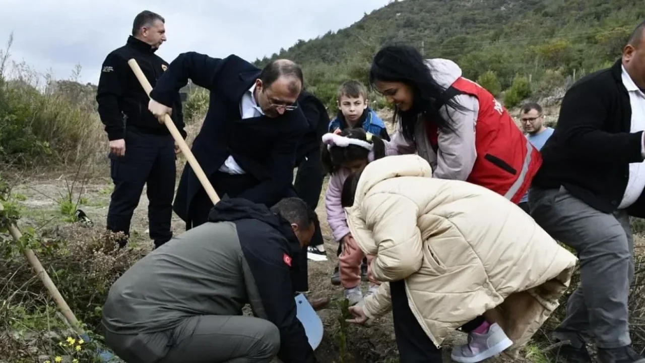 Kadirli’de Aile Ormanı kuruldu: İşte detaylar