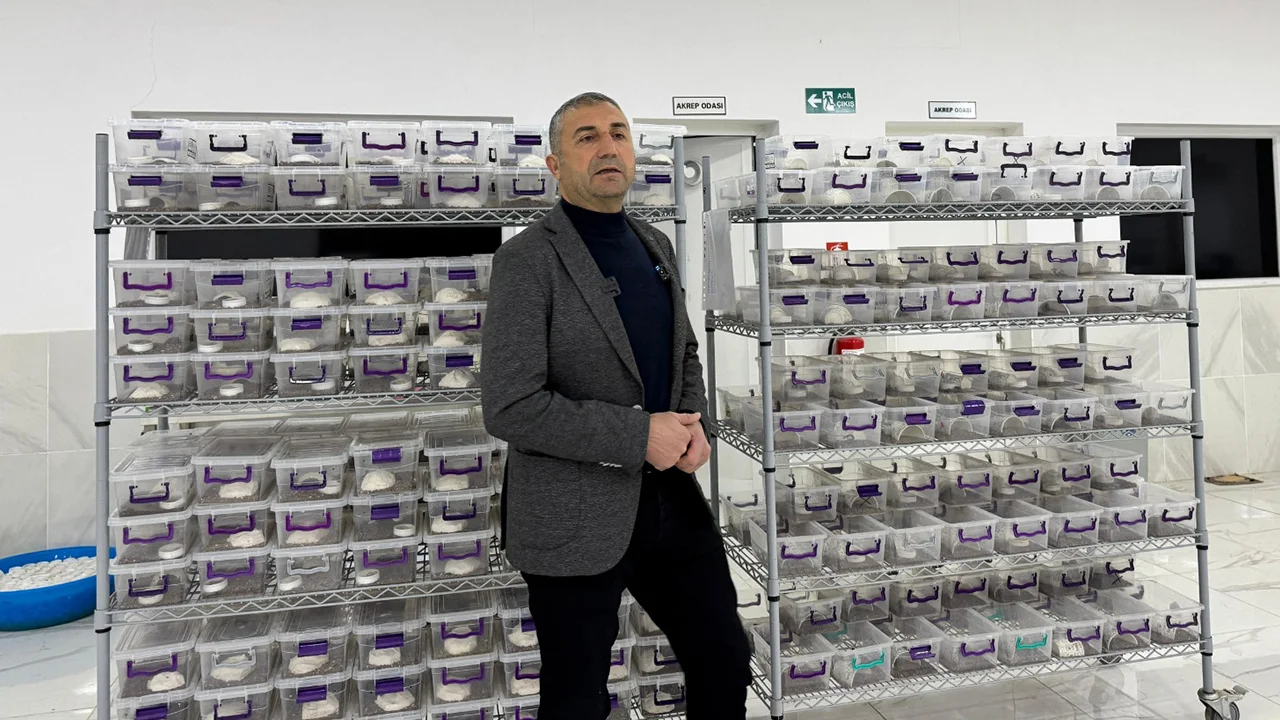 Kadirli’de Akrep Zehri Üretim Çiftliği Kuruldu