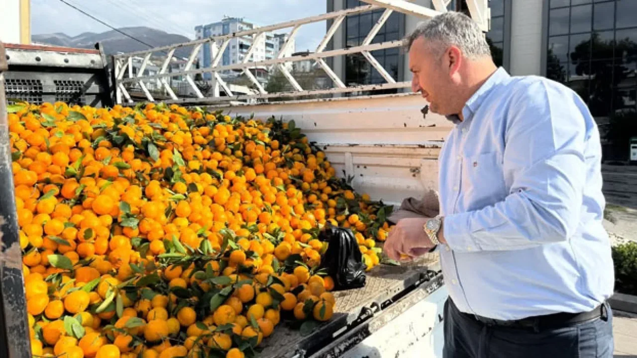 Mandalina Fiyatı 1 TL’ye Düştü, Belediye Harekete Geçti