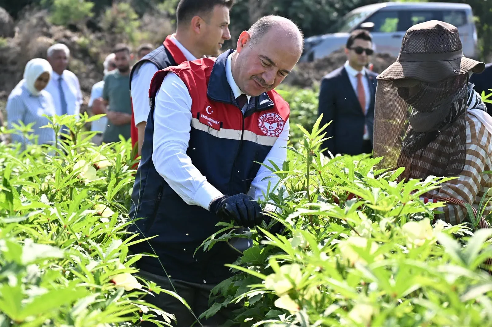 Osmaniye Bamya Üretiminde Zirvedeki Yerini Korudu