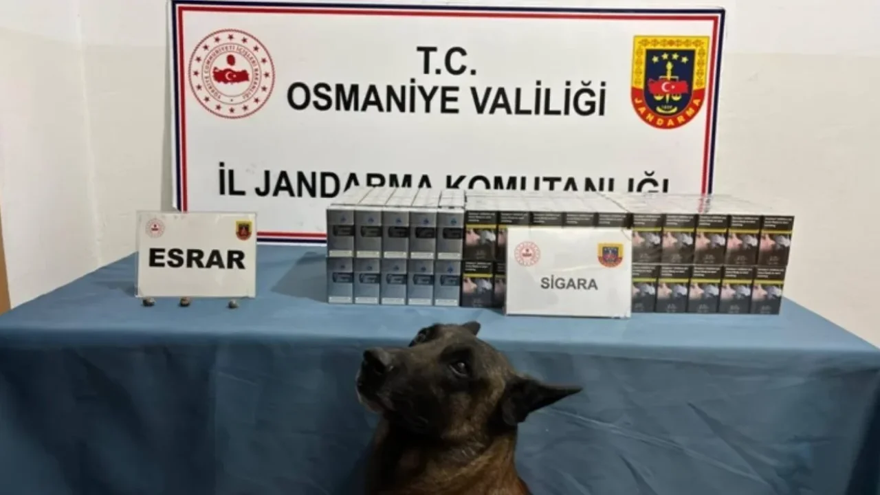 Osmaniye’de 1 Haftada 118 Şüpheli Gözaltına Alındı