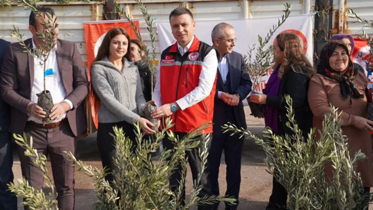Osmaniye’de 114 Bin Zeytin Fidanı Dağıtıldı