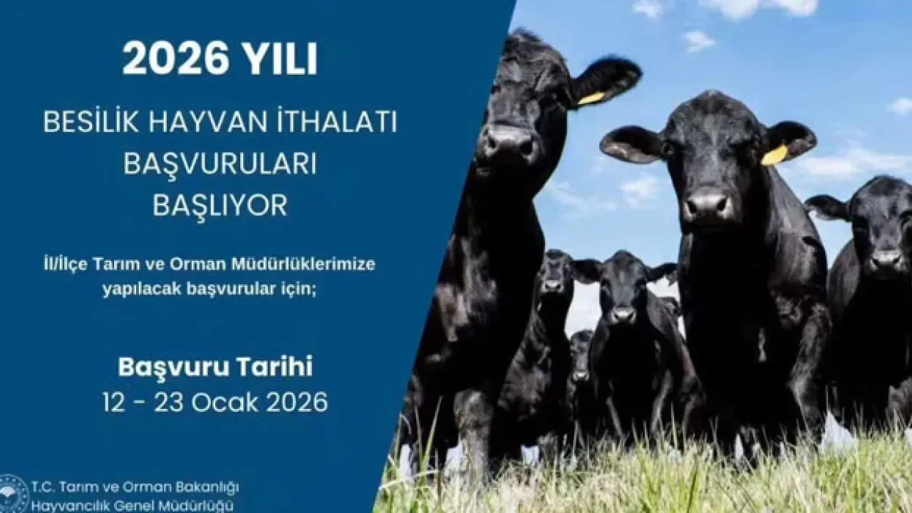 Osmaniye’de Besilik Hayvan İthalatı Başvuruları Başlıyor