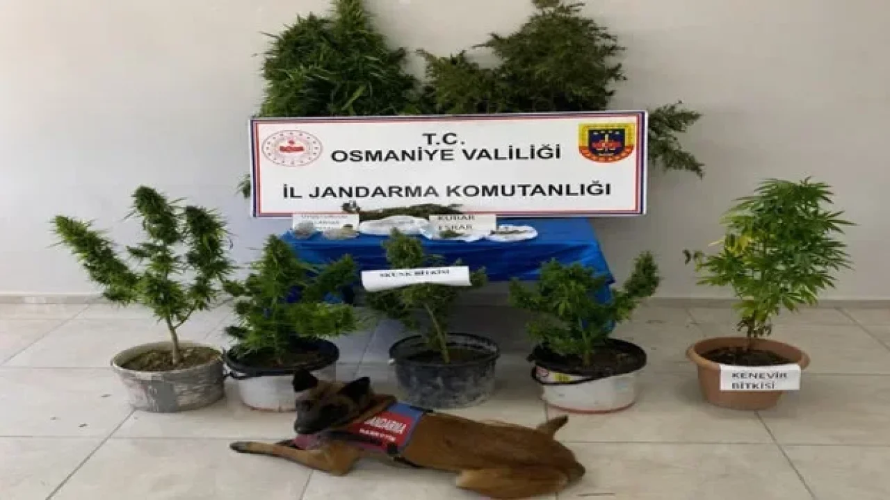 Osmaniye'de Bir Haftada 116 Asayiş Olayı: 77 Şüpheli Yakalandı