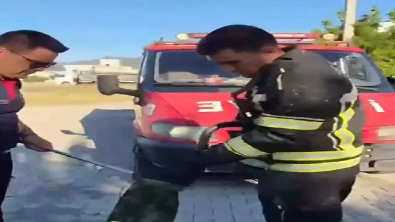 Osmaniye'de Eve Giren Kara Yılan Güvenle Yakalandı