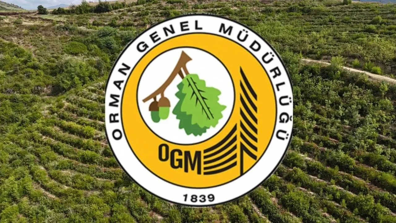 Osmaniye’de Geçici İşçi Alımı! İşte Başvuru Şartları