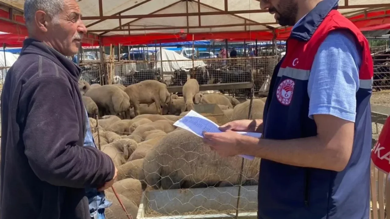 Osmaniye’de Kurban Pazarlarına Sıkı Denetim