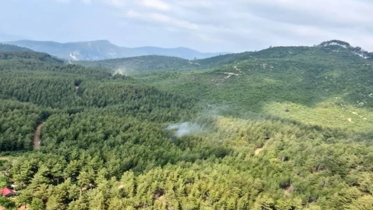 Osmaniye’de Ormanlara Giriş 31 Ekim’e Kadar Yasak
