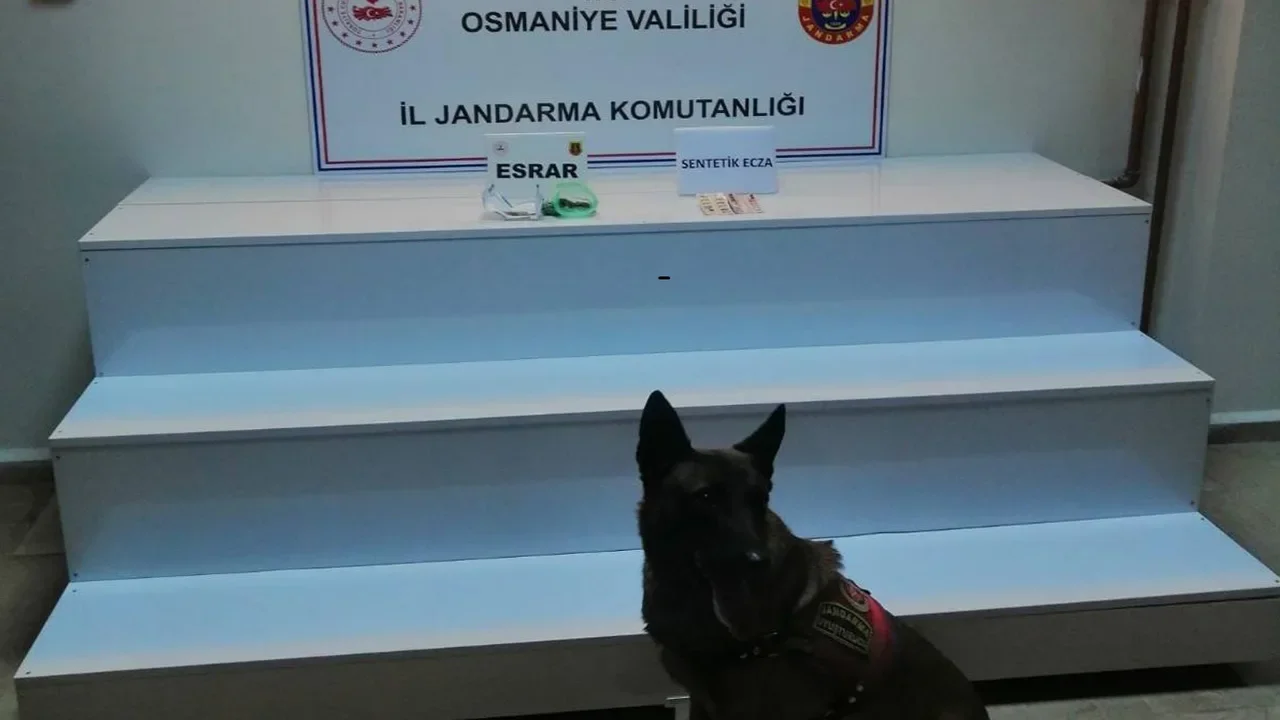 Osmaniye Jandarması’ndan Asayiş ve Operasyon Başarısı