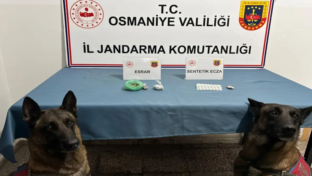 Osmaniye Jandarması Suç ve Suçlulara Göz Açtırmadı