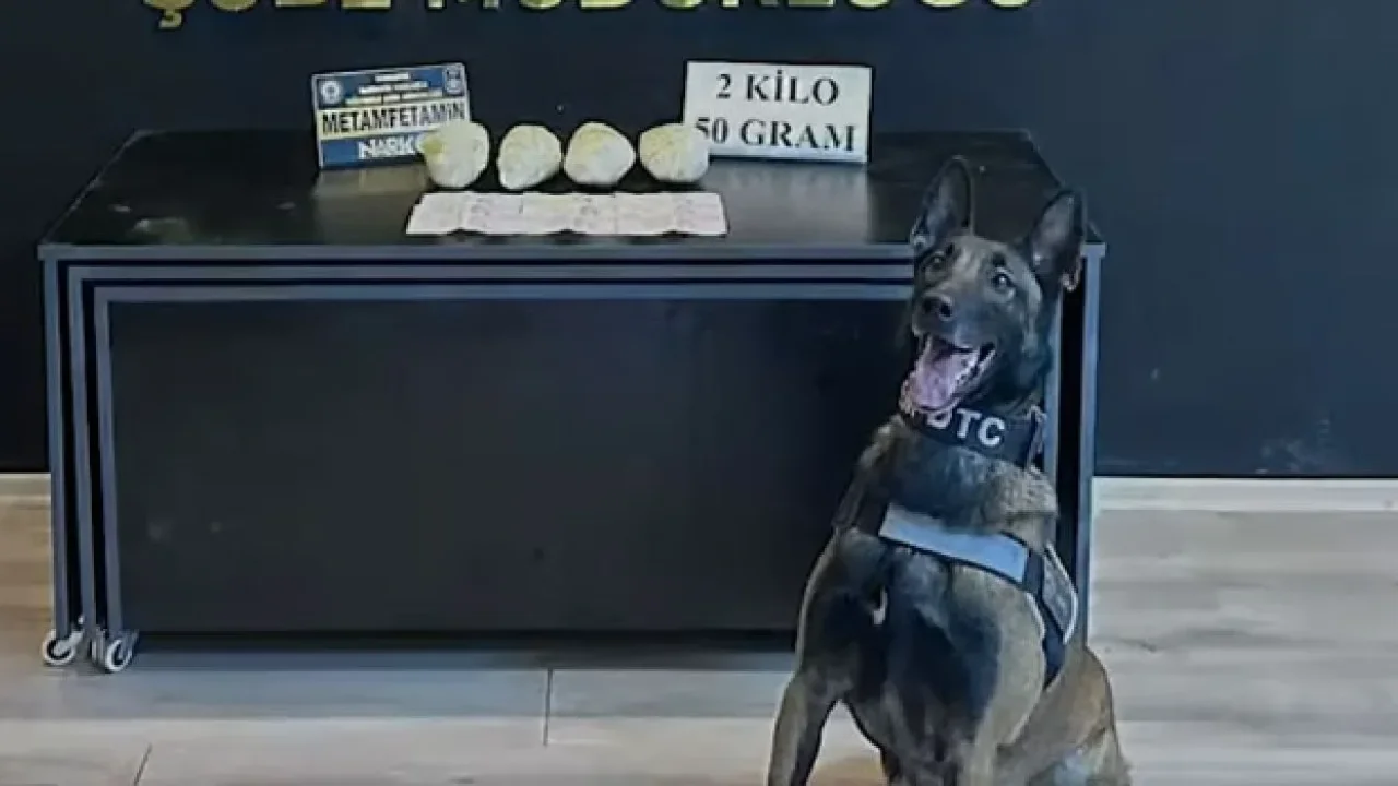 Osmaniye’nin Narkotik Köpeği Jardi Türkiye Birincisi