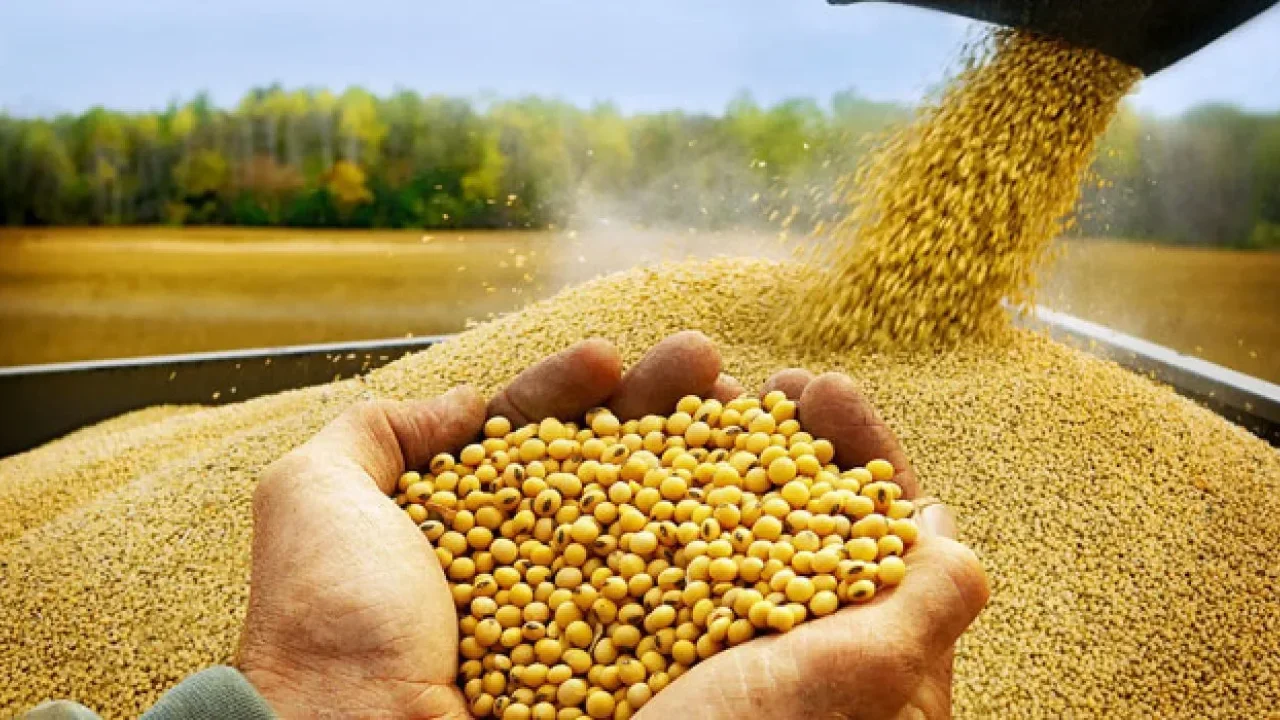 Osmaniyeli Çiftçiye Soya İçin Ek Destek
