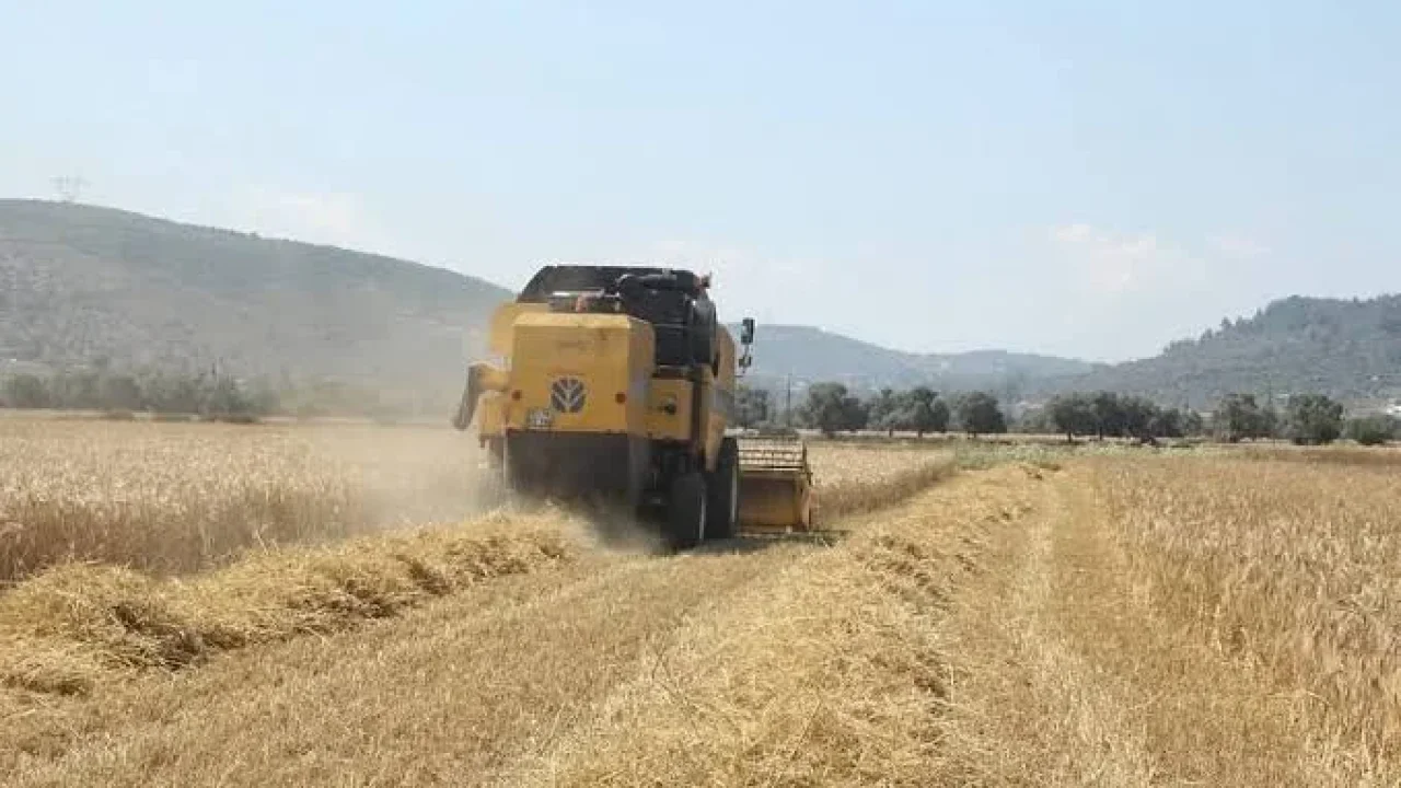 Tarımsal destek ödemeleri çiftçilerin hesabına yatıyor