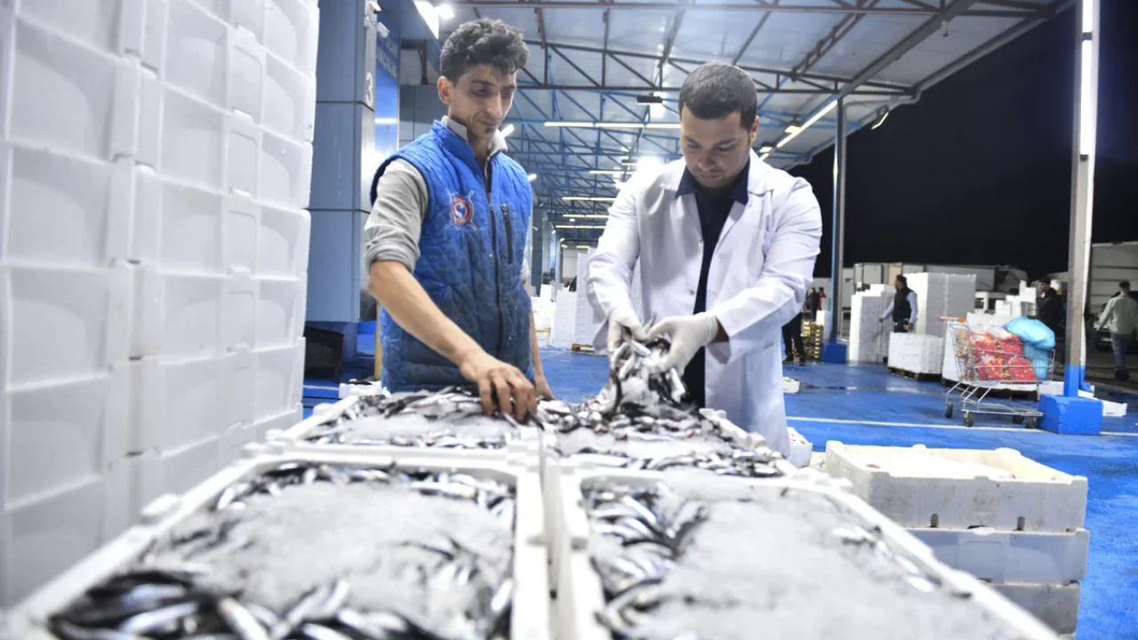 ABB’den Balık Hali’nde sıkı denetim