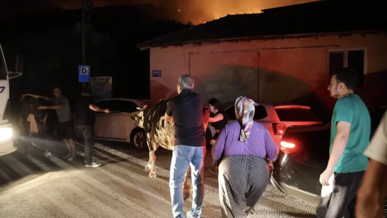 Antalya orman yangını Karaöz’de ekipleri harekete geçirdi