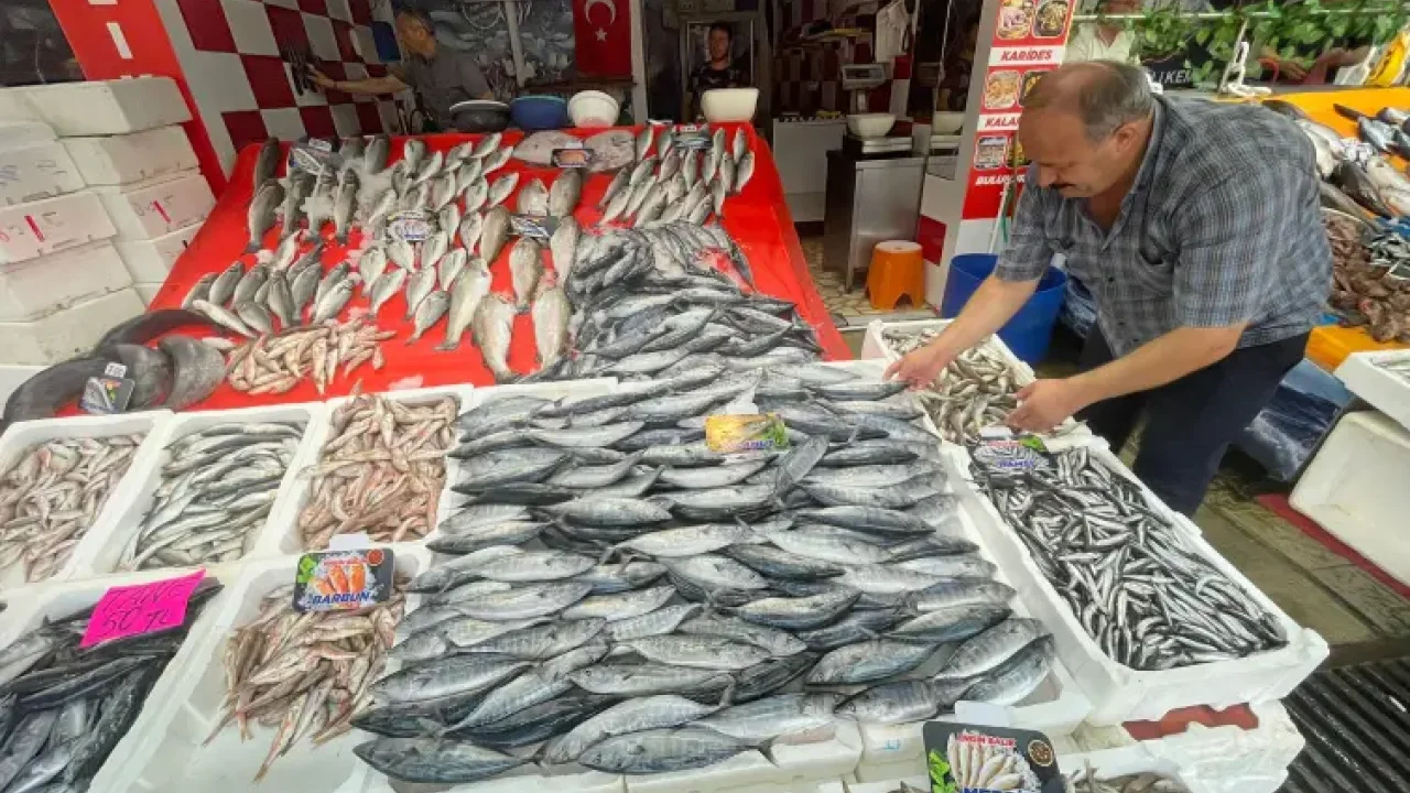 Av sezonu palamut bolluğuyla başladı