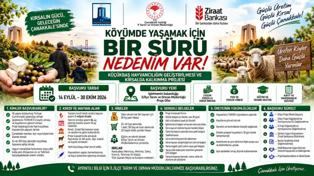 Çanakkale'de küçükbaş hayvan desteği başvuruları başlıyor