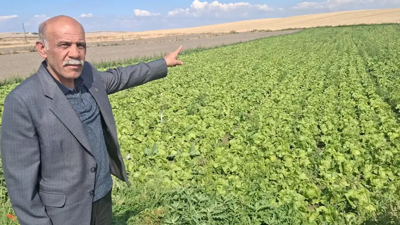 DP Beypazarı teşkilatından üreticilere tarla ziyareti