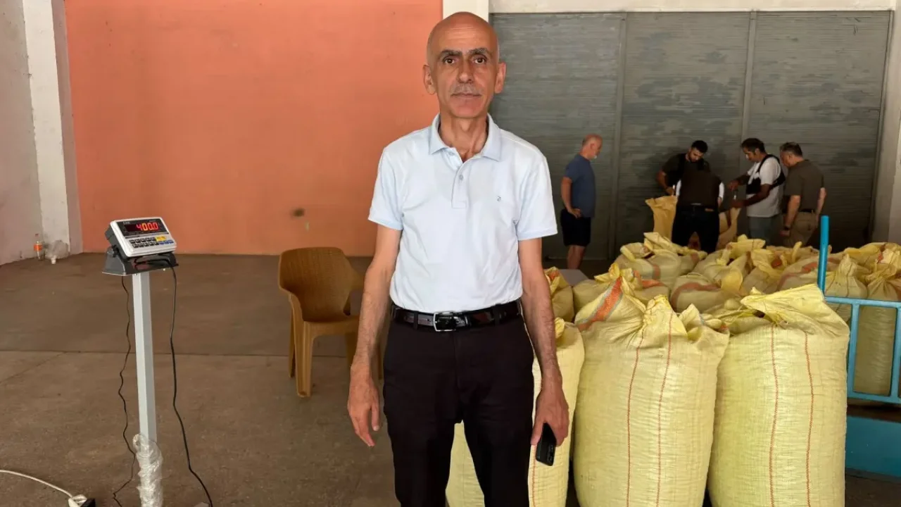 Fındık rekoltesi tahminleri piyasa gerçeklerini zorluyor