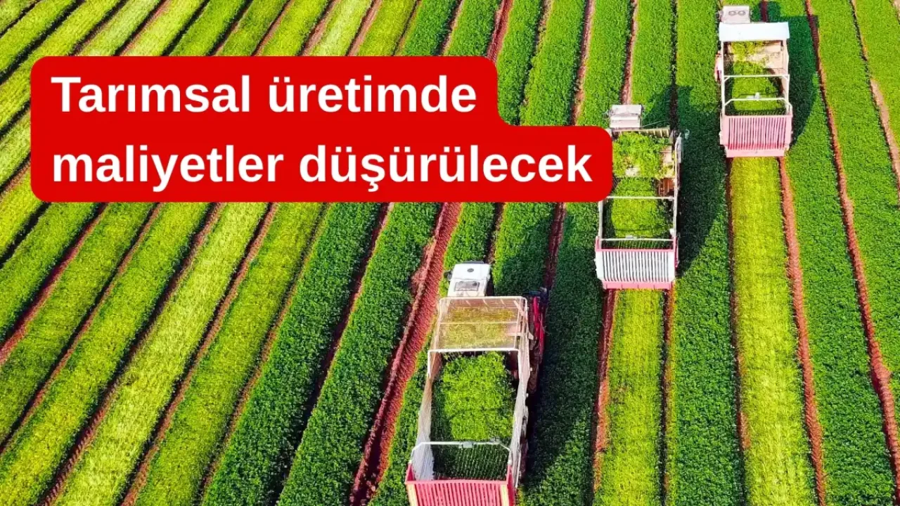 Gıda fiyatlarını düşürmek için tarımsal üretim planlanıyor