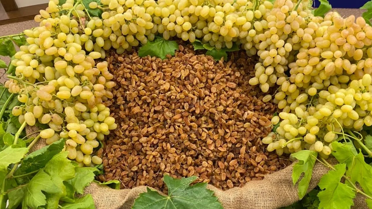 Kuru Meyve İhracatı Almanya ile Güçlü İş Birliğiyle Artıyor