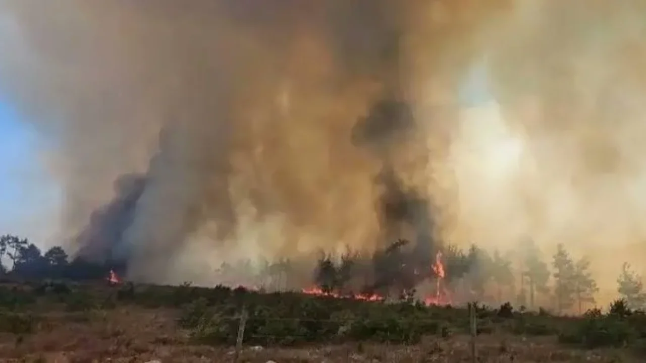 Muğla'da orman yangını büyüyor: Ula'ya ulaştı