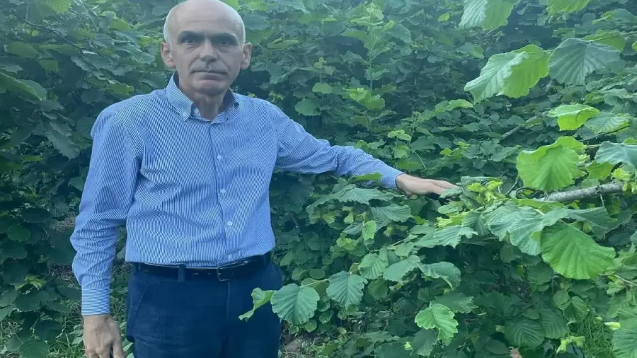 Nurittin Karan; Fındık Bölgesi Milletvekilleri Neden Sessiz?