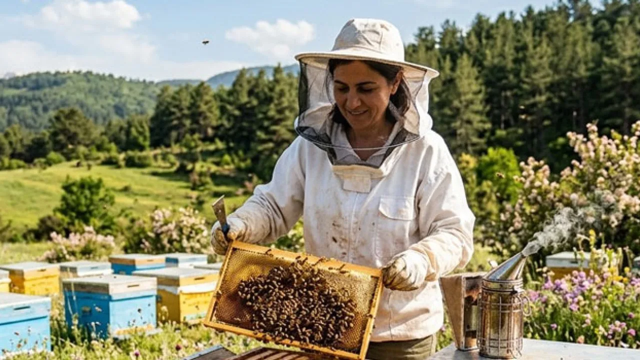 Osmaniye’de Arılı Kovan Desteği Başvuruları Başladı