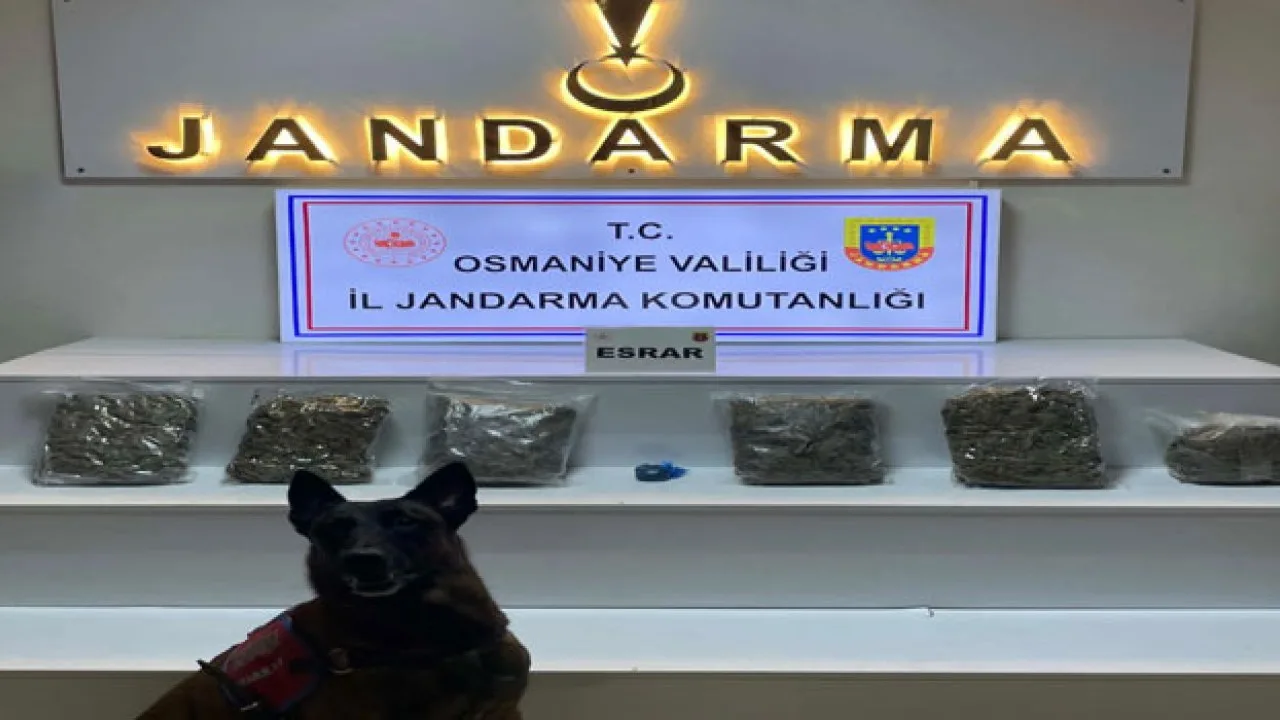 Osmaniye Zorkun Yaylası’nda Uyuşturucu Operasyonu: 3 Tutuklama