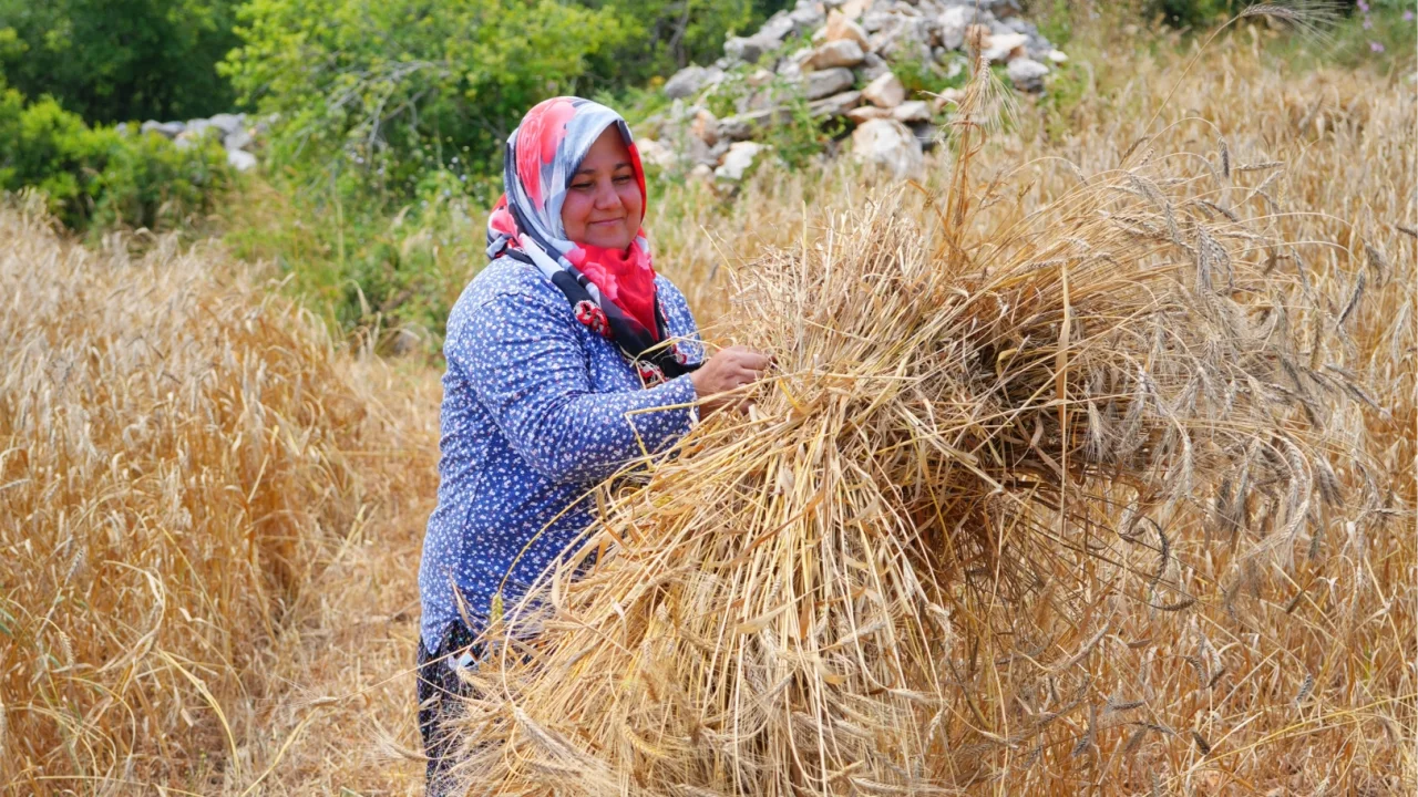 Temiz Ekmek Projesi Deprem Bölgesinde Dayanışmayı.