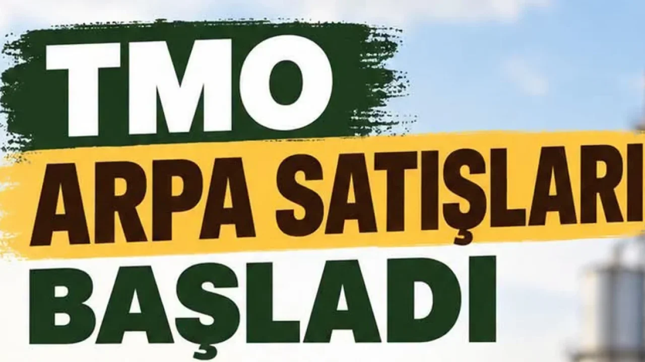 TMO Arpa satışları hayvancılık için devam ediyor