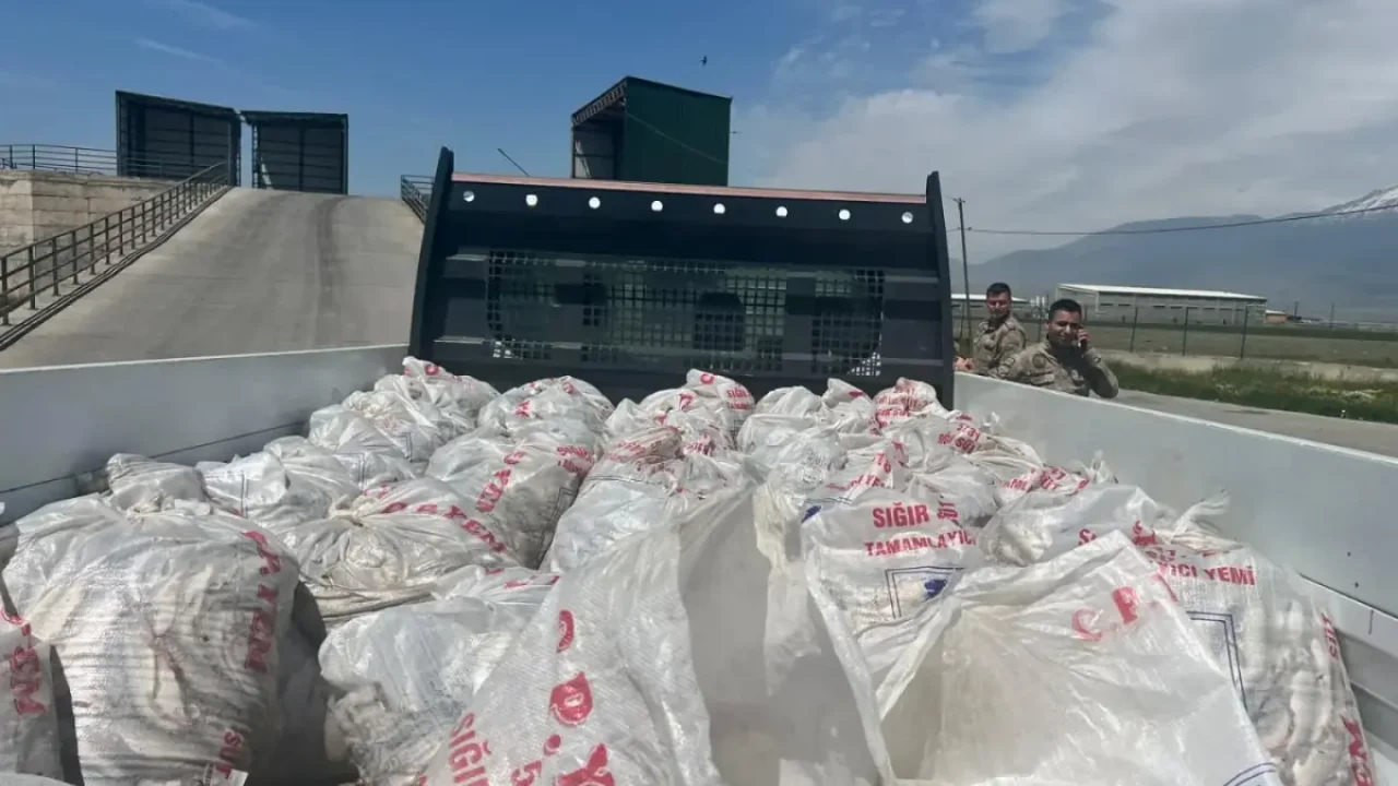 Ağrı’da 2 ton kaçak inci kefali ele geçirildi