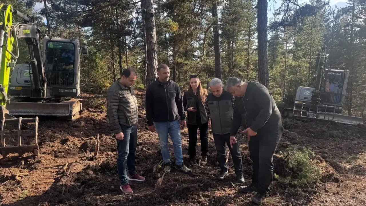 Beypazarı’nda 50 hektarlık alanda doğal gençleştirme çalışması
