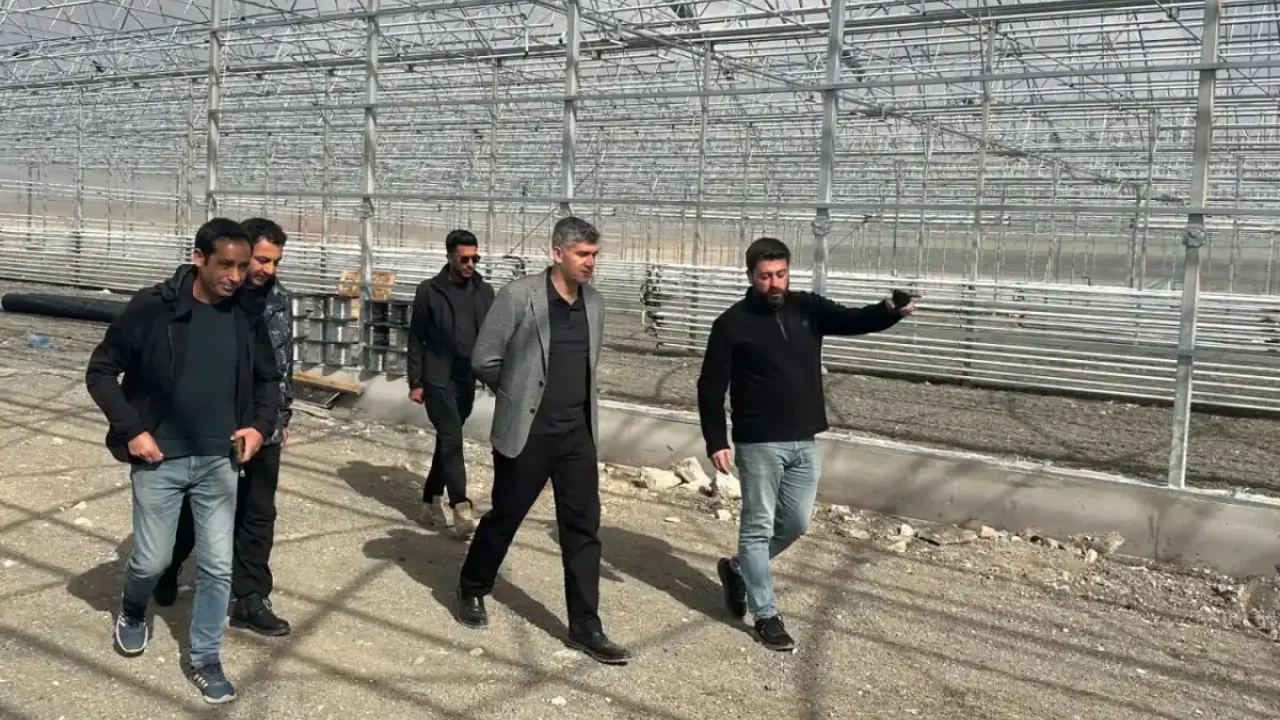 Diyadin Jeotermal Sera OSB'de İncelemeler Sürüyor