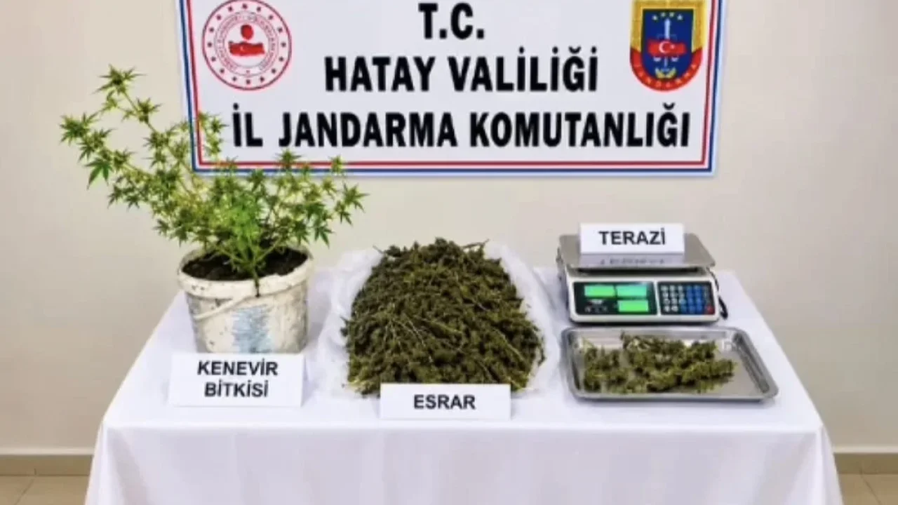 Hatay’da uyuşturucu operasyonu: 1 kişi tutuklandı