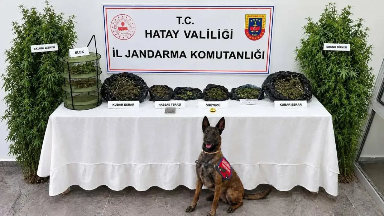 Hatay'da uyuşturucu operasyonu gerçekleştirildi
