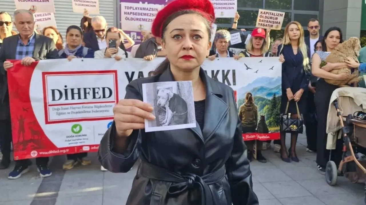 Hayvan hakları savunucuları Ankara'da eylem düzenledi