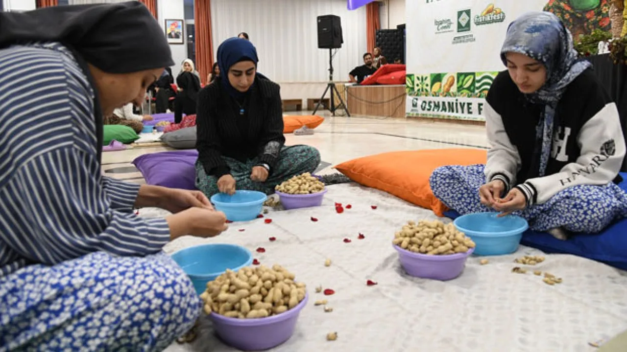 Osmaniye’de Fıstık Kırma Yarışması Renkli Görüntülere Sahne Oldu