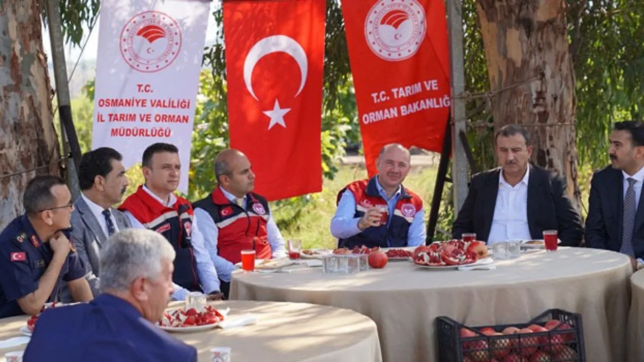 Osmaniye’de Nar Hasadı Başladı! Vali Serdengeçti Üreticilerle Buluştu