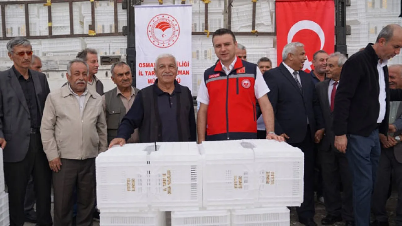 Osmaniye’de Zeytin Üreticilerine 1.890 Kasa Desteği