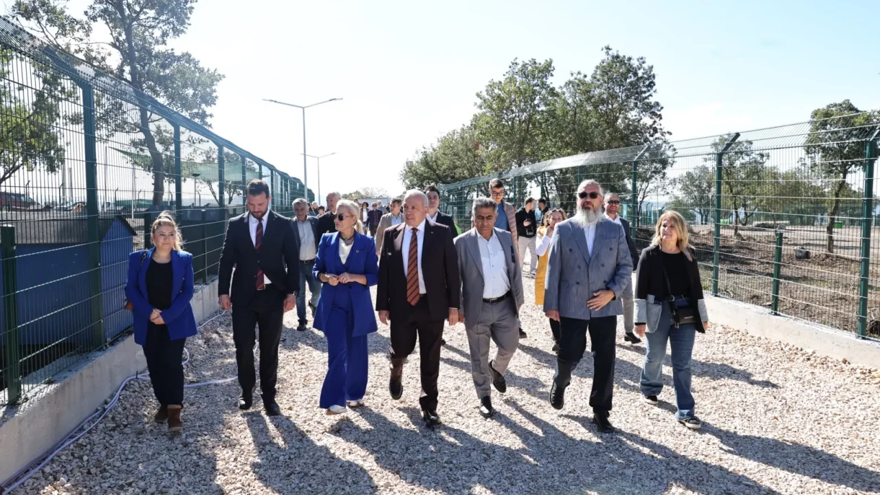 Sahipsiz Hayvanlar İçin “Umut Ağacı” Açıldı