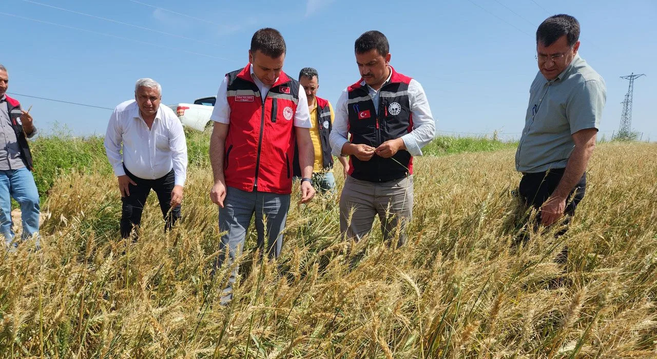 Osmaniye’de Dolu Ve Sel Tarımı Vurdu
